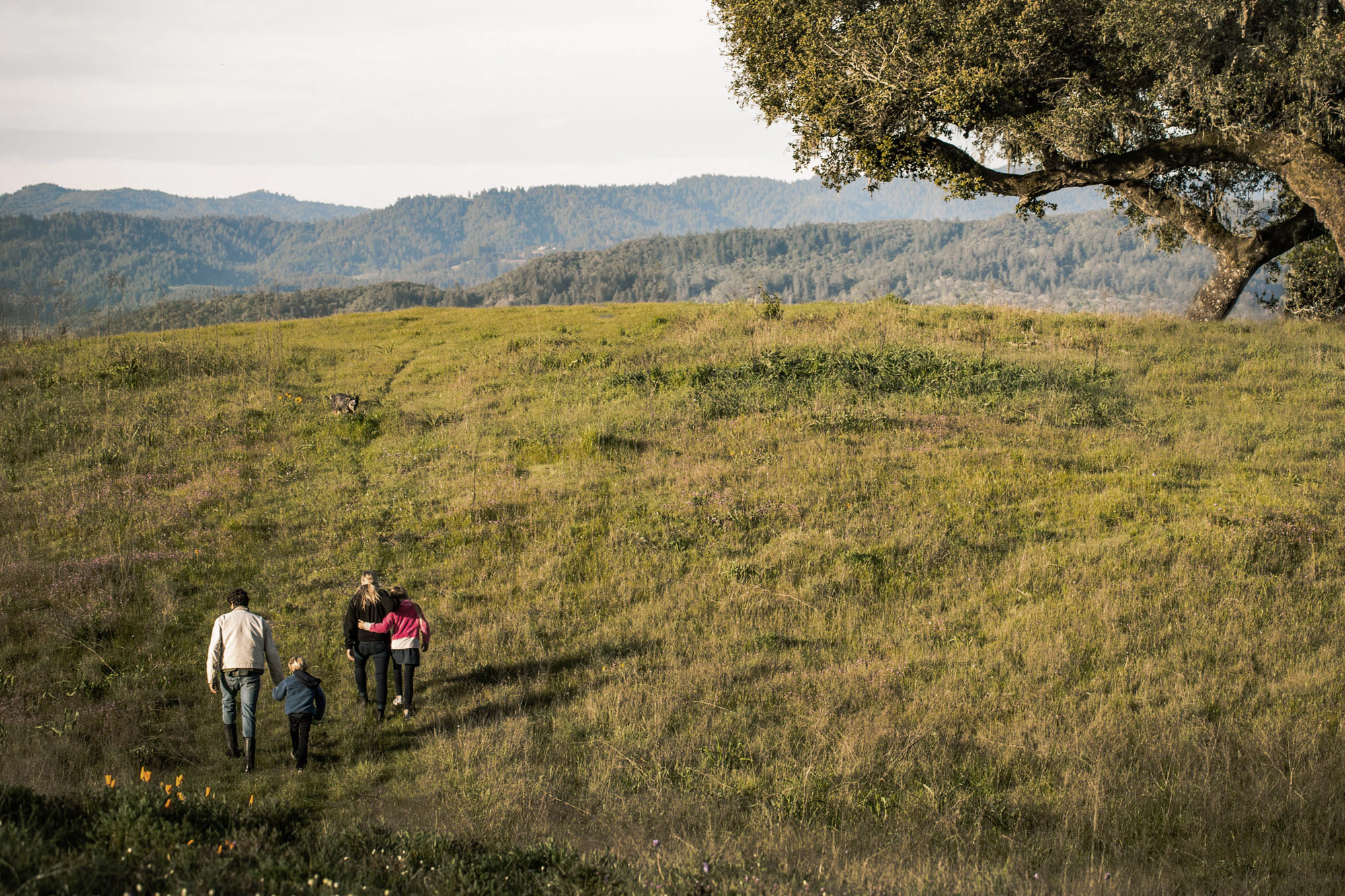 The Family on a walk